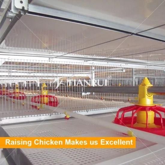 H Type Broiler Battery Chicken Cage for sale
