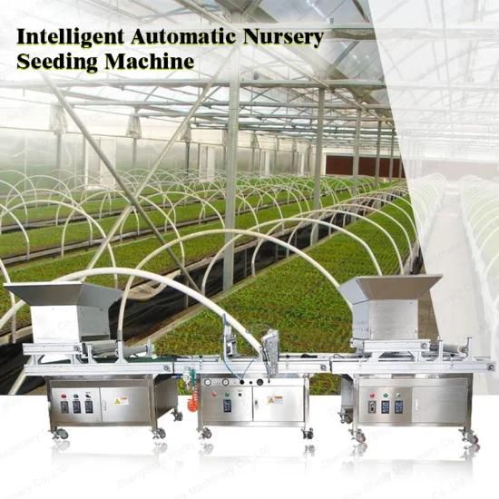 automatic vegetable flower seed seeding tray nursery tray planting machine in trays