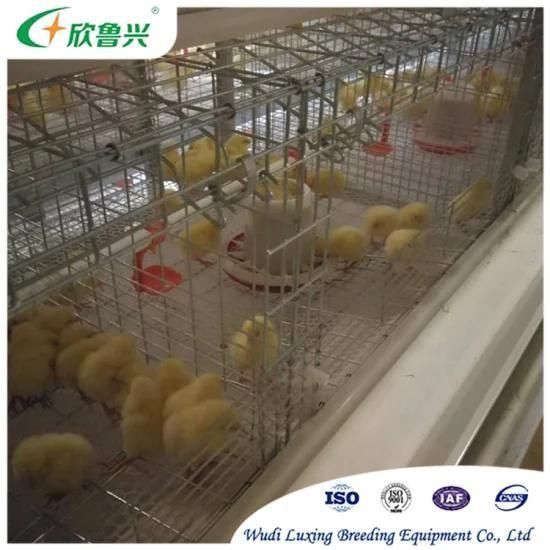 Durable Prefab Chicken Farm House Battery Cages for Layers