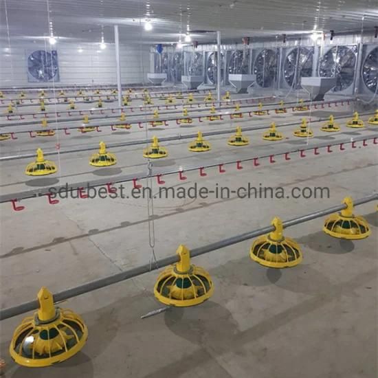 Complete Closed Poultry Farm Machinery for Chicken House