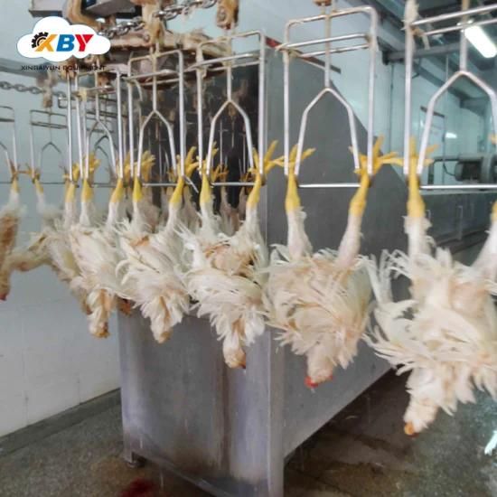 Poultry Abattoir Use to Chicken Processing Equipment Feather Plucking Machine in ...