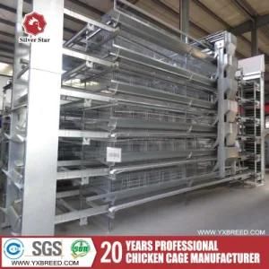 Modern New Design Chicken Poultry Farming Equipment for Sale