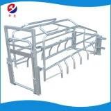 Farrowing Crate / Pig Equipment for Poultry Farm of Sows/ Livestock Machine