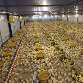 Low Cost Complete Controlled Automatic Poultry Chicken Farm Equipment for Broiler