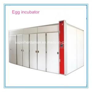 High Hatching Rate Egg Incubator for Sale