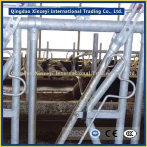 Different Size Customed Cattle Fence for Headlock