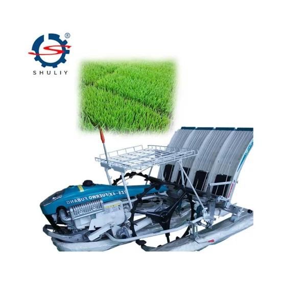 6 Rows Rice Transplanter Manual Trasplantadora De Arroz Handpush Rice Planter
