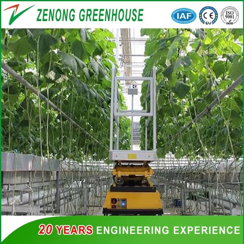 Lifting Platform for Greenhouse Vegetable Fruit Picking