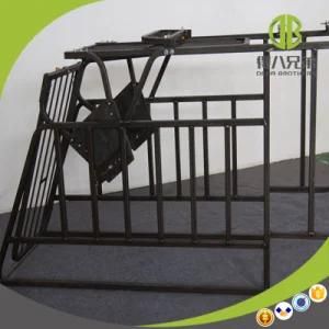 Hot Sale Pig Stall High Quality Free Access Individual Stall or Free Access Gestation ...