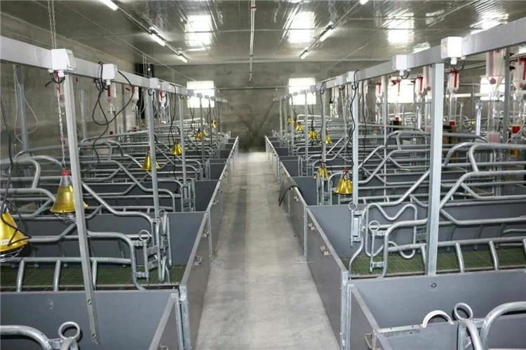 500 Sows Customized Turn-Key Design Automatic Pig/ Swine/ Pork Farm Raising/ Breeding Cage Equipment