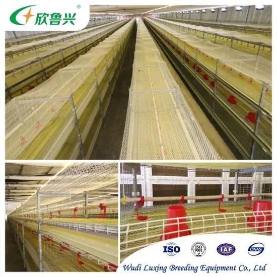 Hot Galvanized a Type Poultry Farm Cage 90/96/120/128/160birds Laying Chicken Battery ...