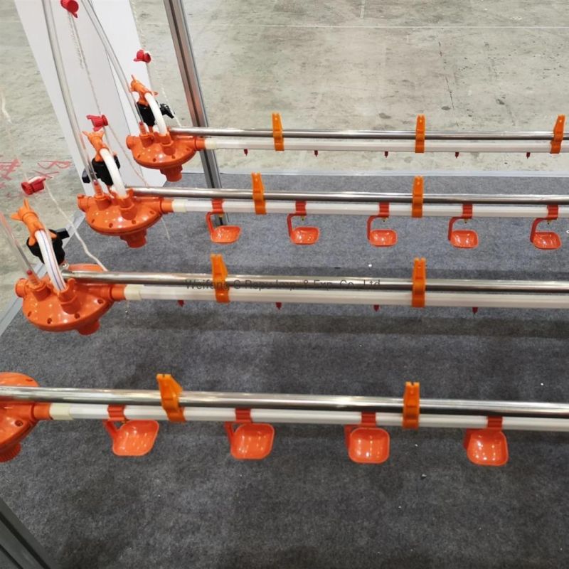 Automatic Poultry Nipple Drinker Line System for Broiler Chicken