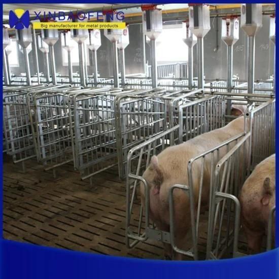 Equipment Breeding Stalls of Galvanized Sow Farrowing Stall Farrowing Crates