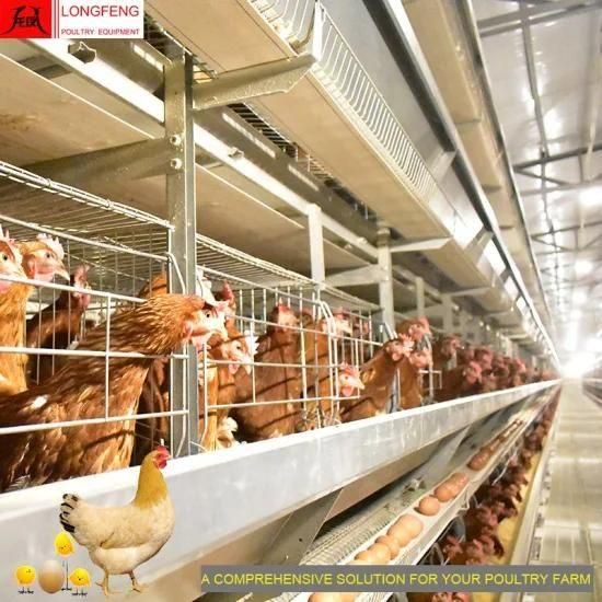 Longfeng H Frame Galvanized Automatic Poultry Layer Equipment for Chicken Farms