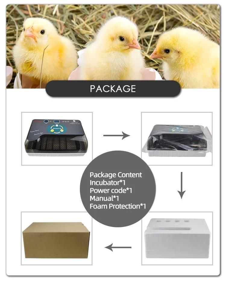 Hhd Cheap Automatic Mini Chicken Egg Incubator for Sale