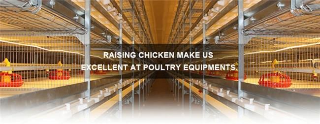 Automatic broiler poultry farm equipment chicken cage price