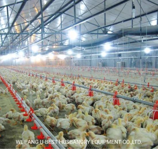 New Design Chicken House Poultry Pan Feeder Automatic Broiler Feeding Pan for Poultry ...