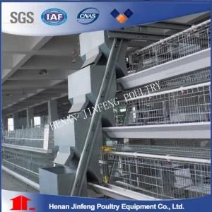 Jinfeng Factory Chicken Cage Layer Poultry for Chicken Farm