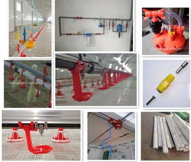 Good Quality Automatic Poultry Chicken Farming Equipment for Chicken Farm