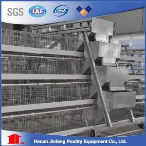 Automatic Poultry Equipment Feeding Machine Chicken Cage on Sell