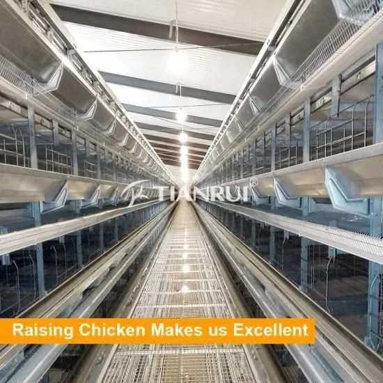 Best Sale Layer Poultry Farm Chicken Cage for sale