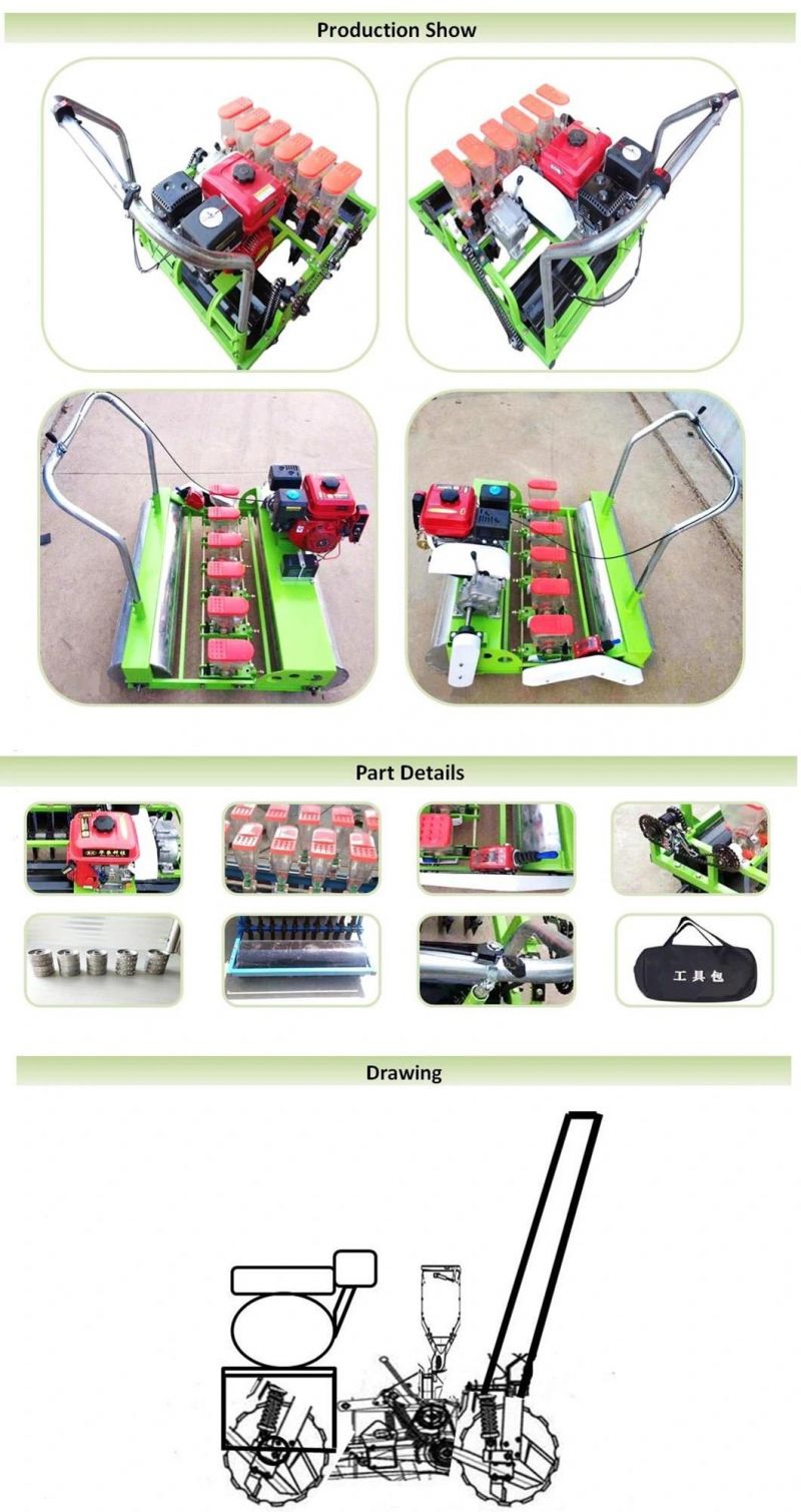 6 Rows Flower Seed Planter / Grass Seeder / Vegetable Seeder (factory selling customization)