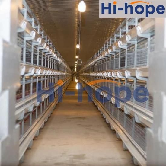 Poultry Farm with The Equipment Chicken House