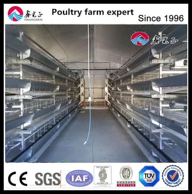 Layer Egg Chicken Cage/Poultry Farm House Design/Automatic Breeding Equipment in China