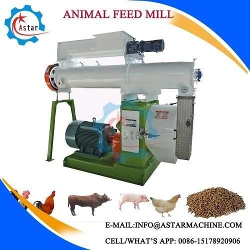 Compact Structure Animal Food Pellet Mill Poultry Feed Plant