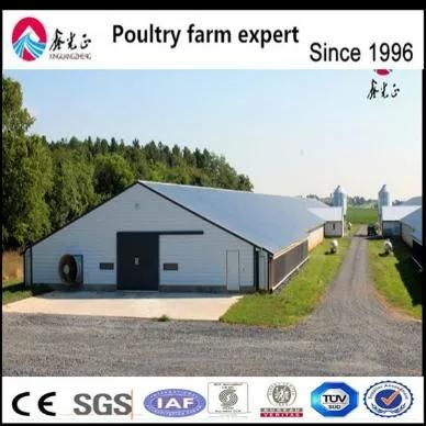 Steel Structure Egg Chicken House with Equipments