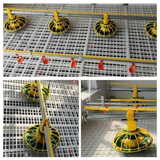 Poultry Farm Chiken Chicken Pan Automatic Feeding Line Equipment for Floor Raising System