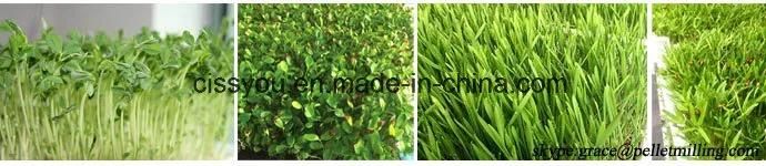 Automatic Cow Cattle Fodder Feed Barley Grass Growing Machine