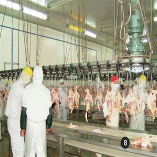 1000bph Chicken Line Abattoir Equipment Poultry Slaughtering Equipment Hot Sale in Saudia ...