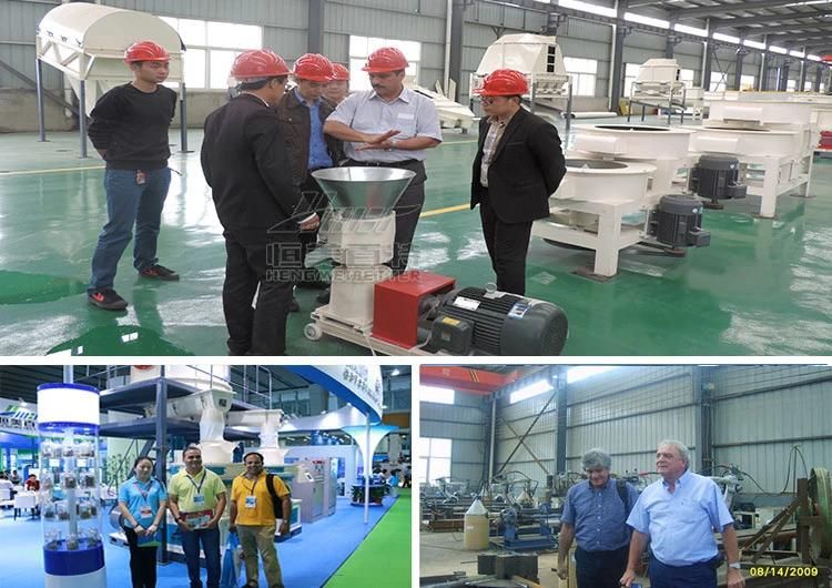 Miniature Double-Layer Die with Latest Technology Feed Factory Animal Henan Briquette Mill