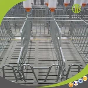 Low Price High Quality Pig Individuan Stall in Pig Feeding System
