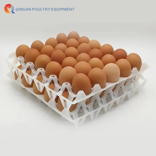 Transport Tray Packing Transport Tray Breeding Egg Plastic Chicken Egg Tray 30 Holes Egg ...