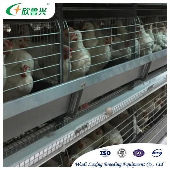 Professional Chicken Rear Cage Manufacturer Automatic Battery Chicken Rearing Cage for ...