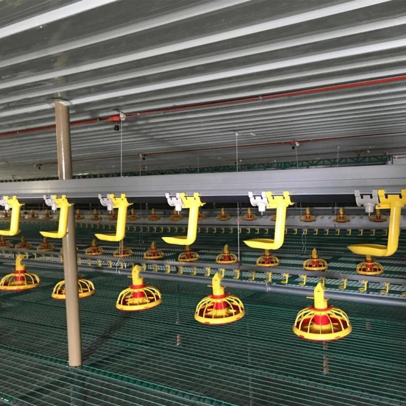 Automatic Poultry Equipment/Chicken Farm Equipment/Complete Broiler Farming System