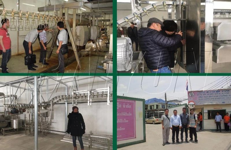 Hot Sale New Technology with Ce Poultry Slaughtering Equipment