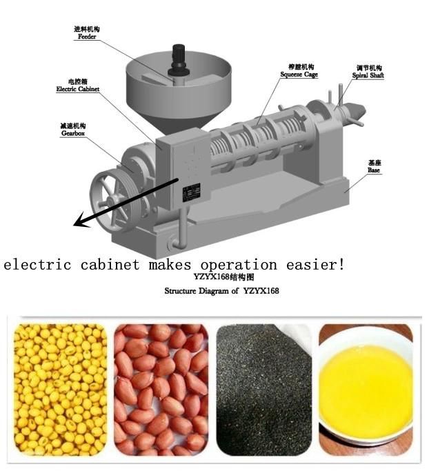 Guangxin Soybean Peanut Oil Press Machine From 1-100ton Per Day