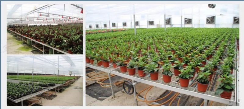 Factory Wholesale Greenhouse Movable Seeding Beds for Flowers/Young Plants