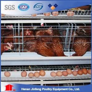 Poultry Farm Battery Cage for Layer Broiler Pullet Chicken Birds