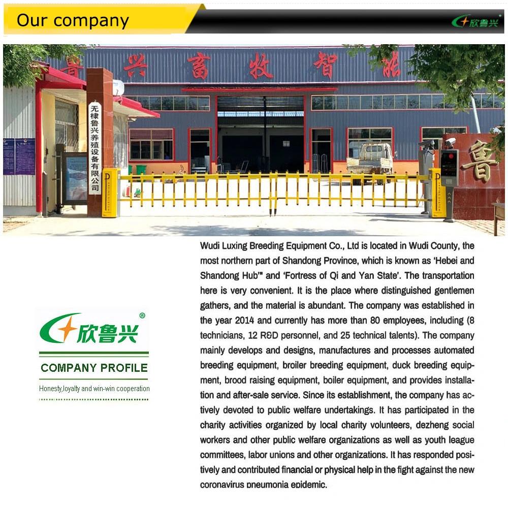 Growing Gartech Broilers Rearing Galvanized Material Battery Popular Used Broiler Raising Cages
