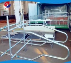 Galvanized Cow Cattle Free Stall for Dairy Farm Equipment Free Sample
