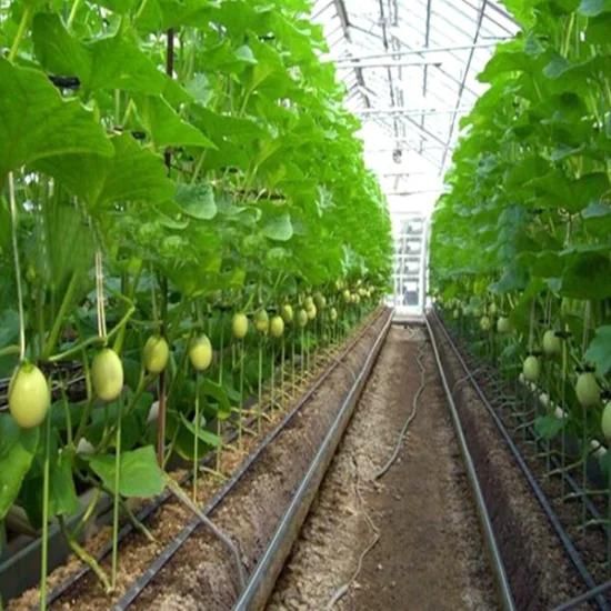 China Plastic Watering Drip Irrigation Tapes for Vegetables