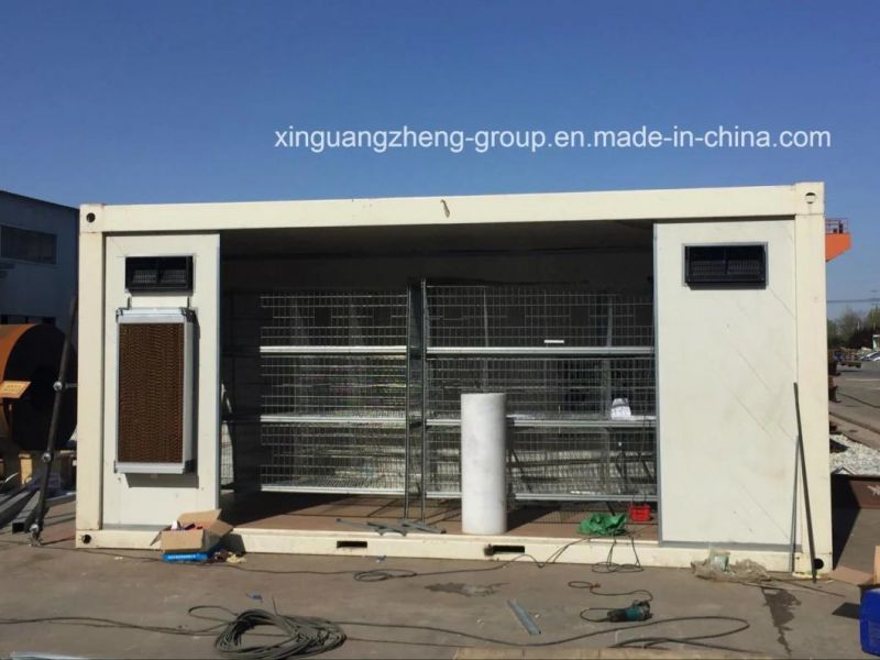 Steel Structure Workshop Building From Qingdao Xinguangzheng