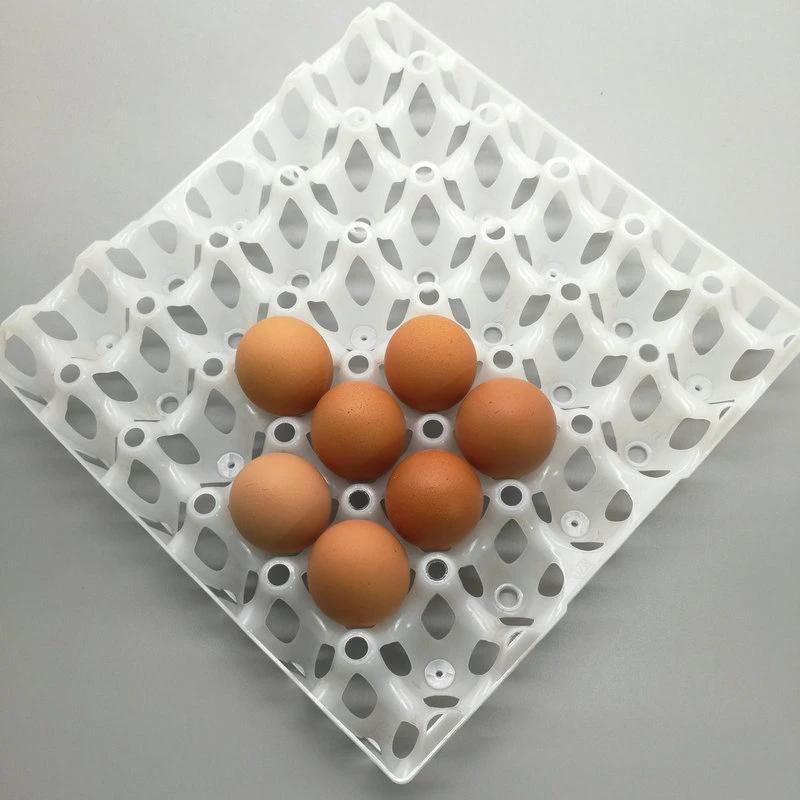 30 Holes Plastic Egg Tray for Poultry Farm