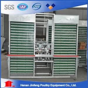 Automatic Collection Egg Poultry Farm Chicken Equipment