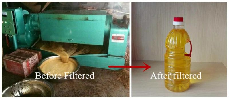 270kg/H Capacity Soya Sunflower Mustard Peanut Palm Kernel Coconut Screw Cold Oil Making Oil Expeller Machine