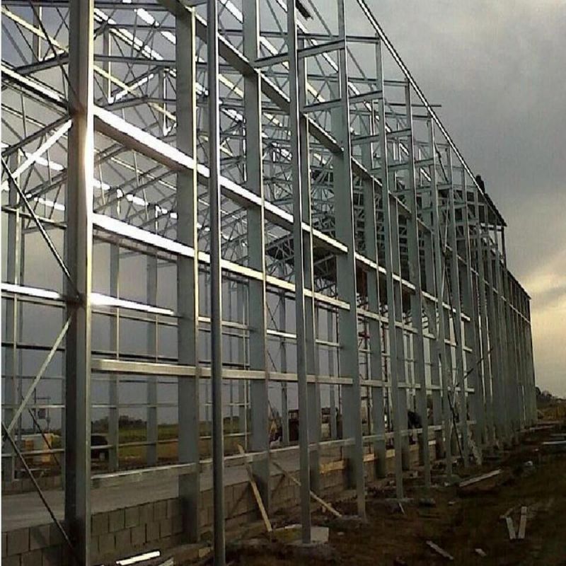 Undertake H Steel / C-Type Steel / Square Tube Truss Structure Poultry House Construction Site